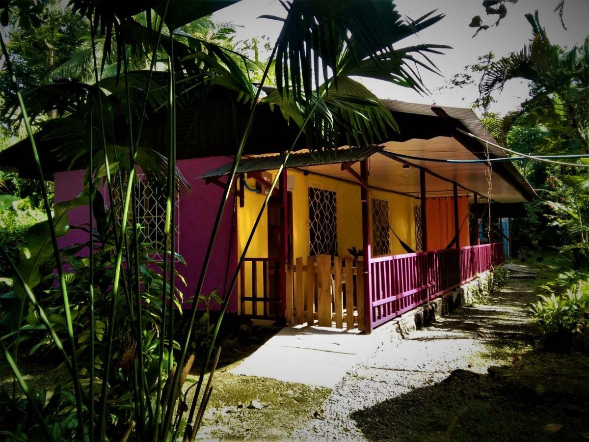 Cabinas Algebra Cahuita Exterior photo